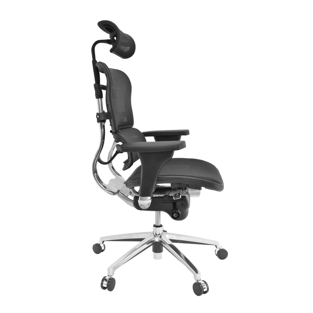 Scaun Ergonomic VENUS