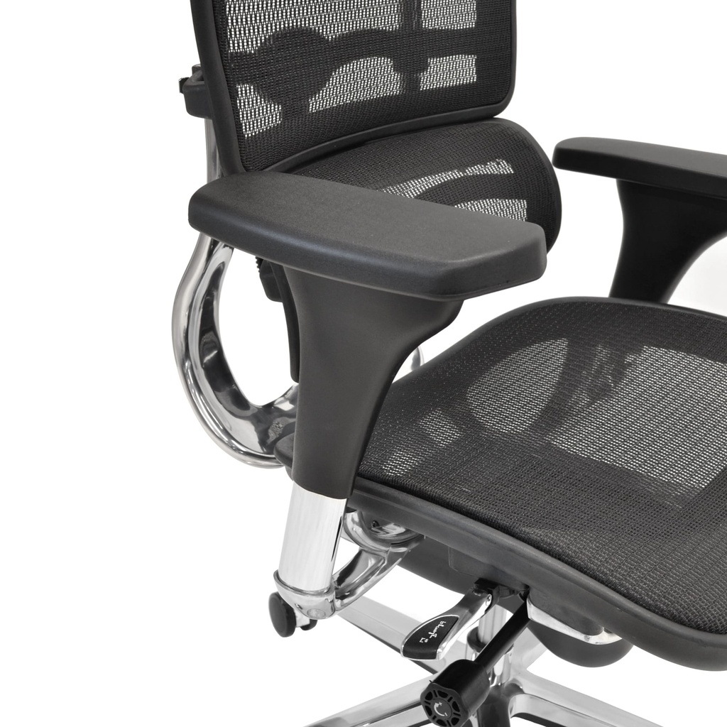 Scaun Ergonomic VENUS