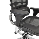 Scaun Ergonomic VENUS