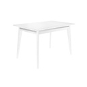 Masa extensibila MG-A05