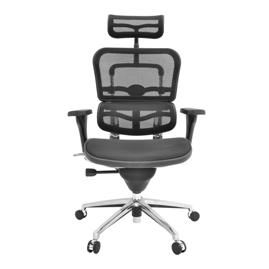 Scaun Ergonomic VENUS