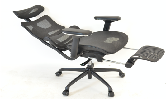 Scaun Erogonomic TANTAL