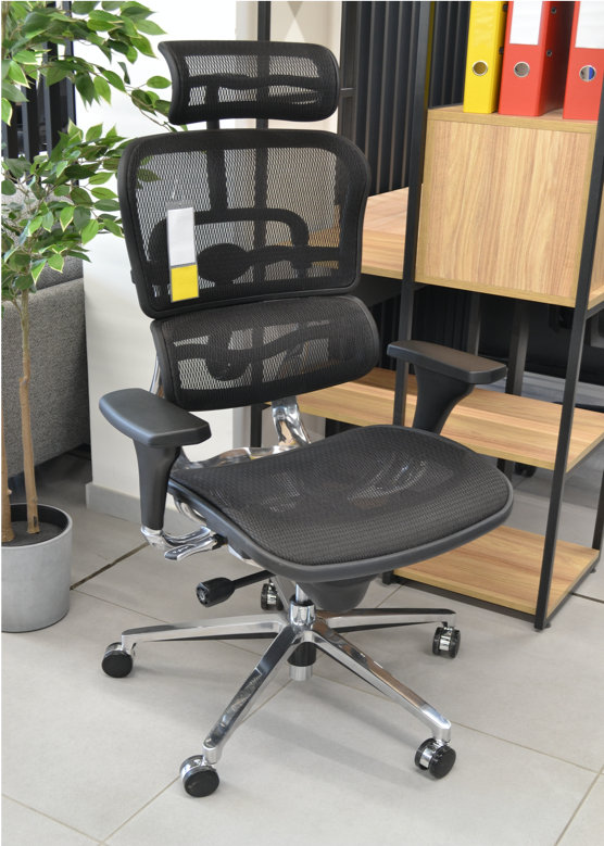 Scaun Ergonomic VENUS