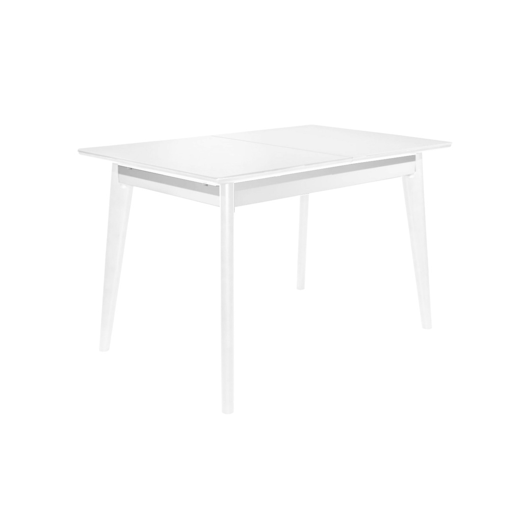 Masa extensibila MG-A05