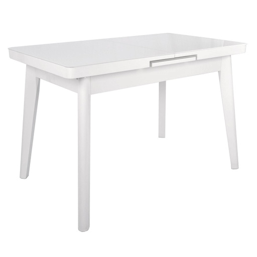 [MG-A044001] Masa extensibila MG-A044