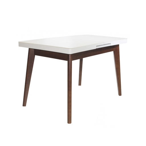 [MG-A06001] Masa extensibila MG-A06