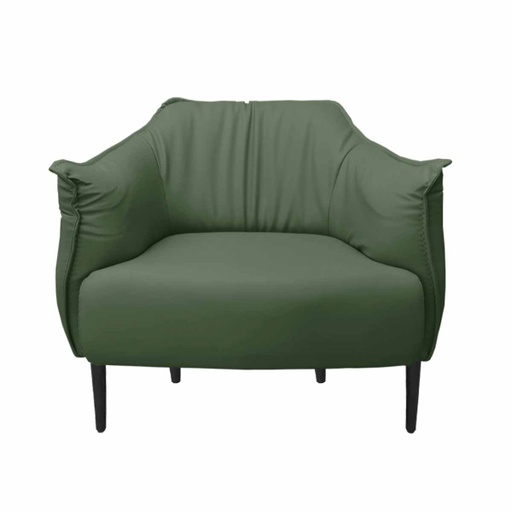 [HB-130095] Fotoliu King GREENw